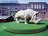 arte-rinoceronte